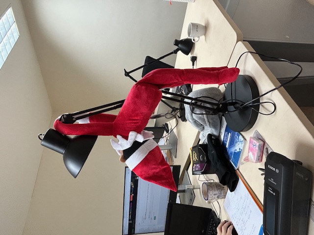 le 16 déc : il continue de bien s'amuser