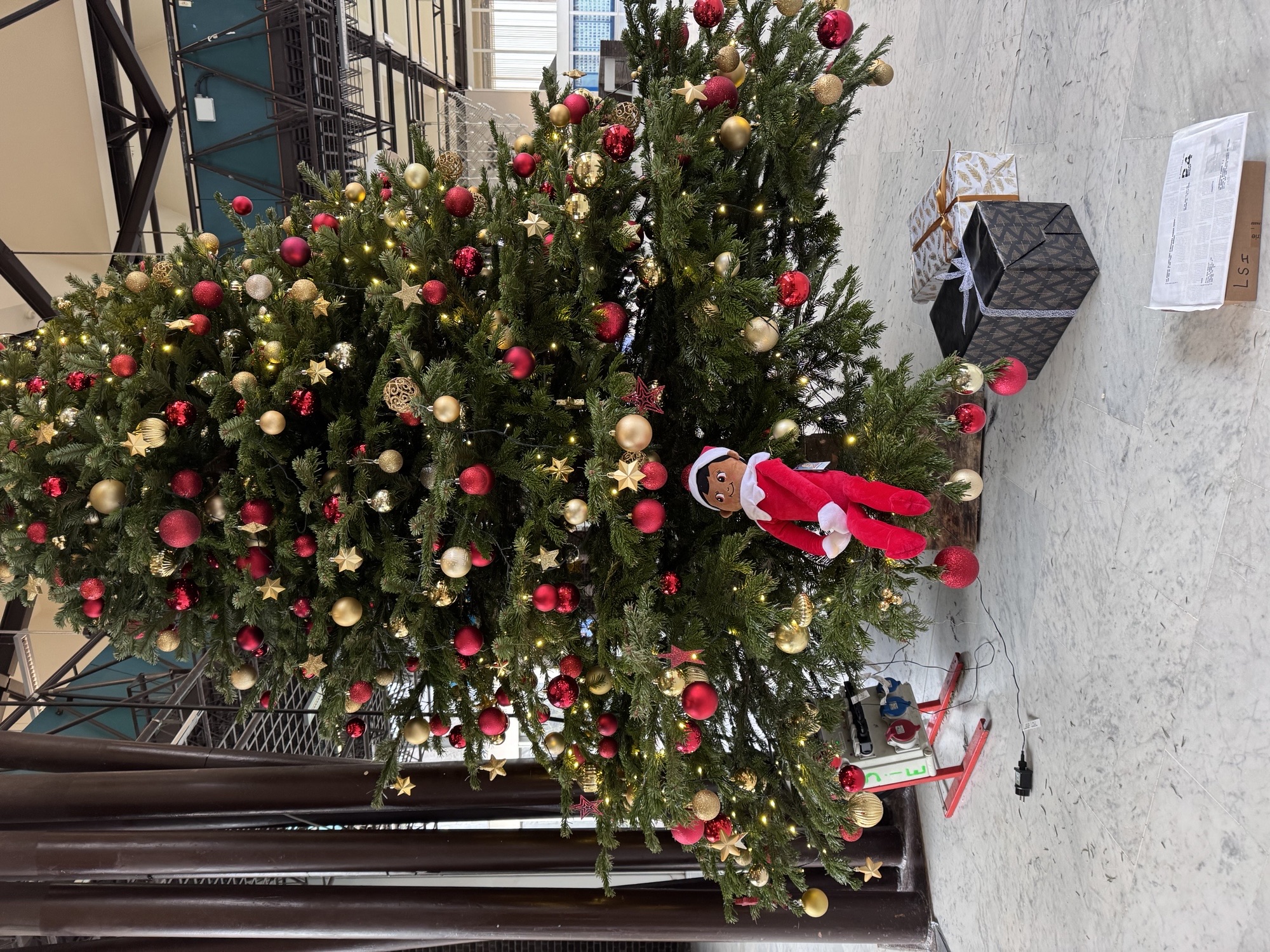 Une fois cette tâche accomplie, il s’est offert une pause artistique en allant poser fièrement devant le sapin du grand hall