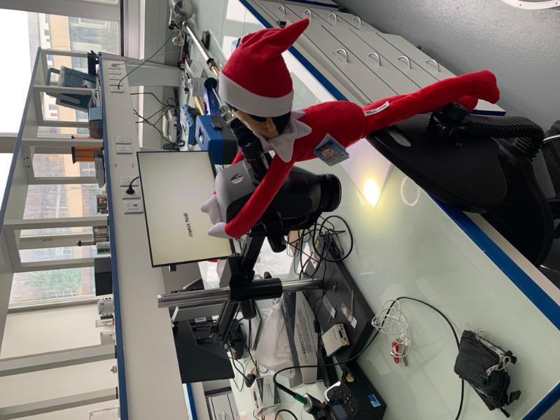 le 15 décembre ... voici ce que "mijote" Léon 