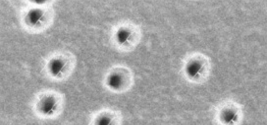 Polymères nanostructurés