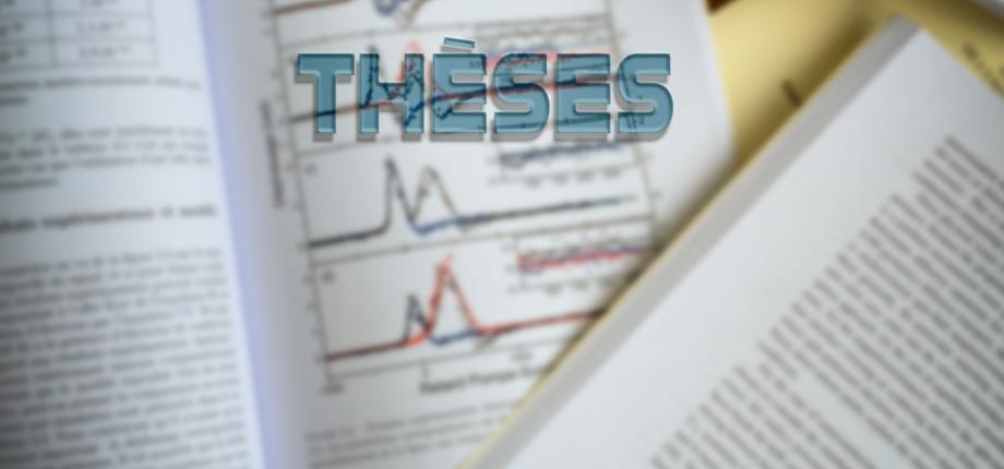 Thèses en cours