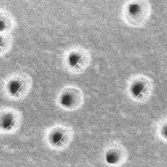 Polymères nanostructurés