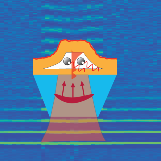 Accousto-magneto-plasmonique