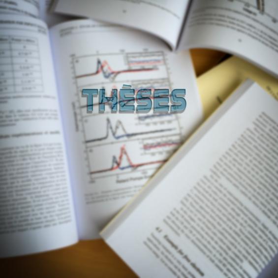 Thèses en cours