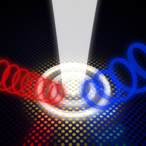 Cavités et métasurfaces chirales basées sur les plasmons de surface THz