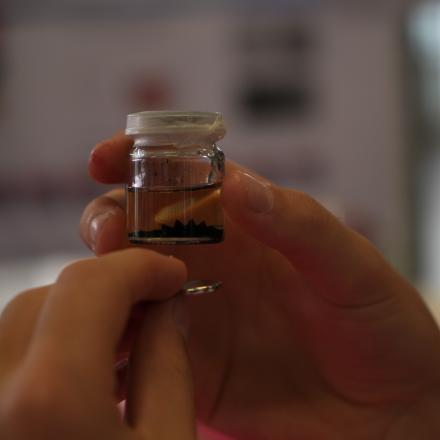  Atelier 1_Le magnétisme : manipulation d’aimants et des ferrofluides